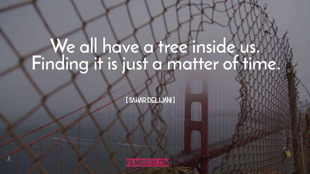 Sahar Delijani Quotes: We all have a tree