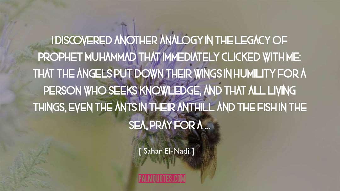 Sahar El-Nadi Quotes: I discovered another analogy in