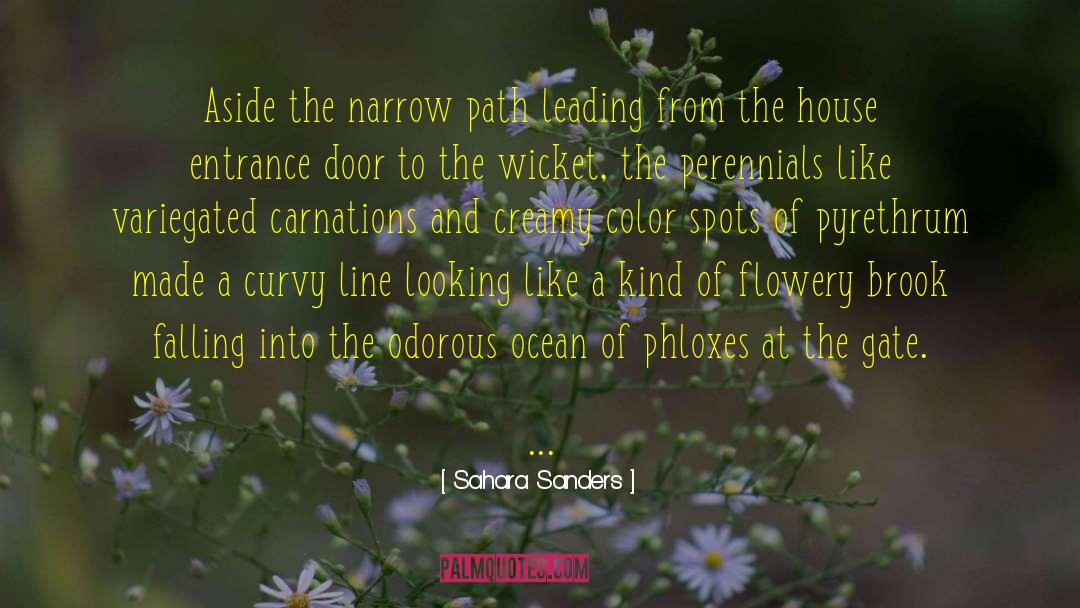 Sahara Sanders Quotes: Aside the narrow path leading