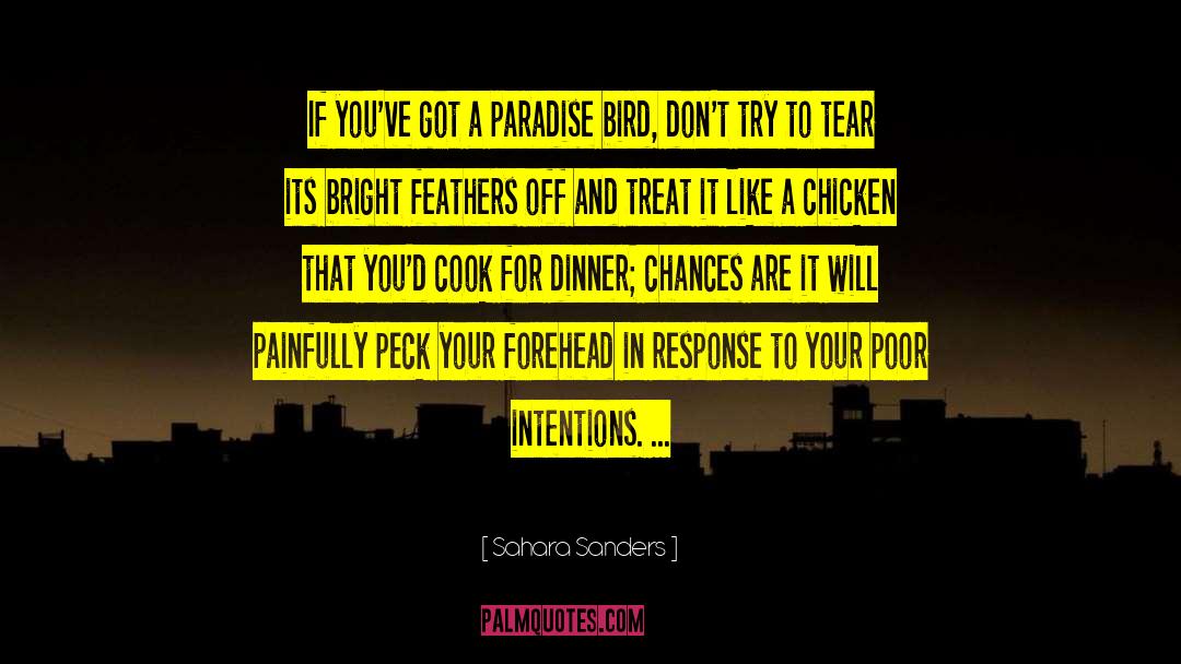 Sahara Sanders Quotes: If you've got a paradise