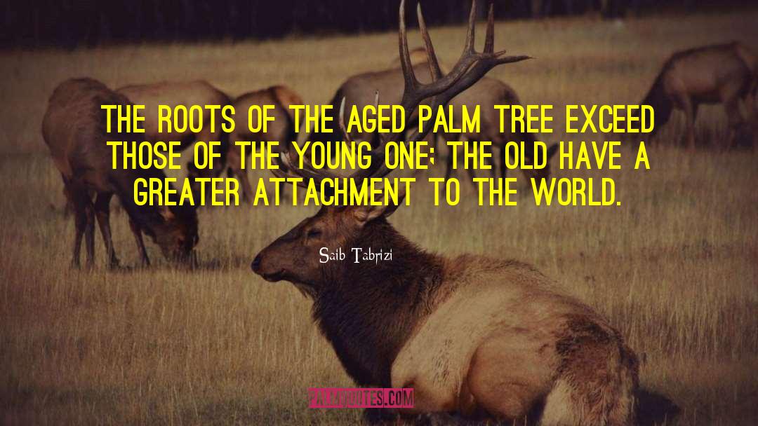 Saib Tabrizi Quotes: The roots of the aged