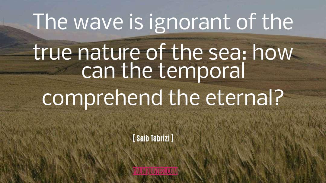 Saib Tabrizi Quotes: The wave is ignorant of