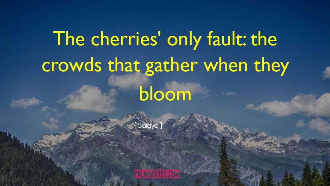 Saigyo Quotes: The cherries' only fault: the