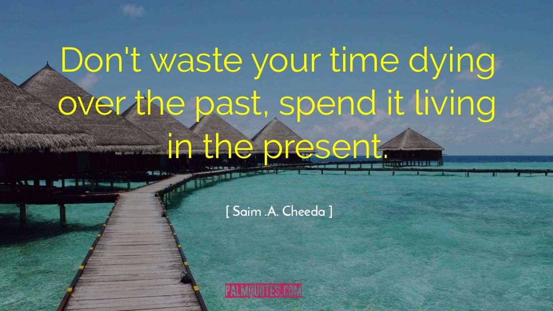 Saim .A. Cheeda Quotes: Don't waste your time dying