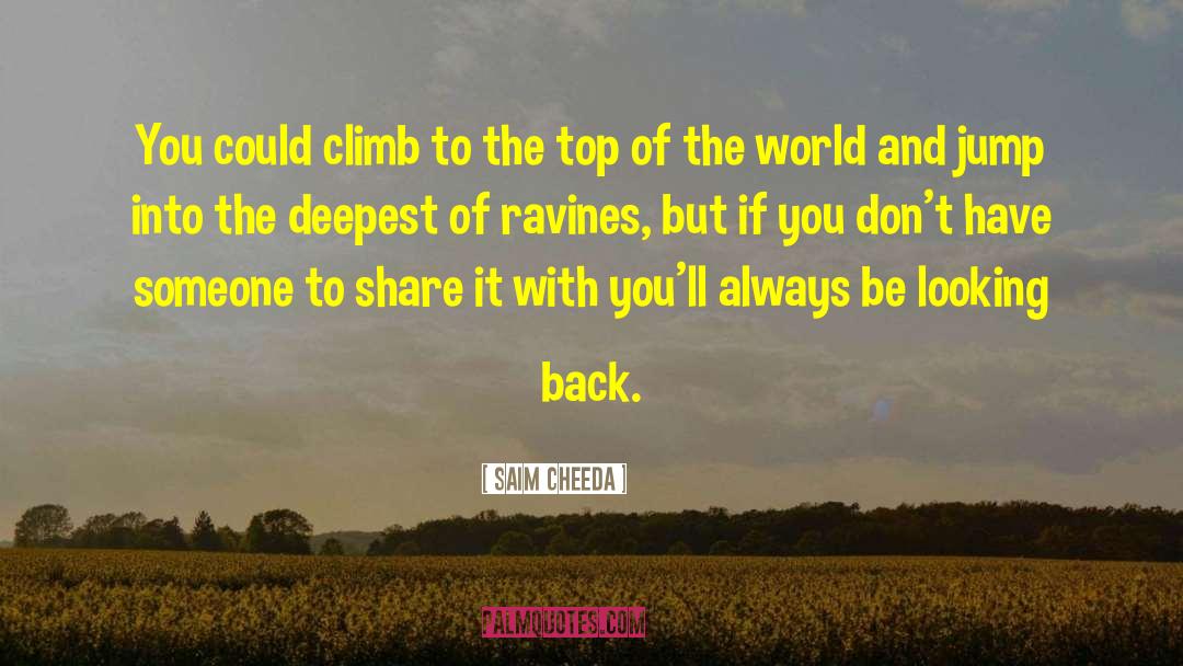 Saim Cheeda Quotes: You could climb to the