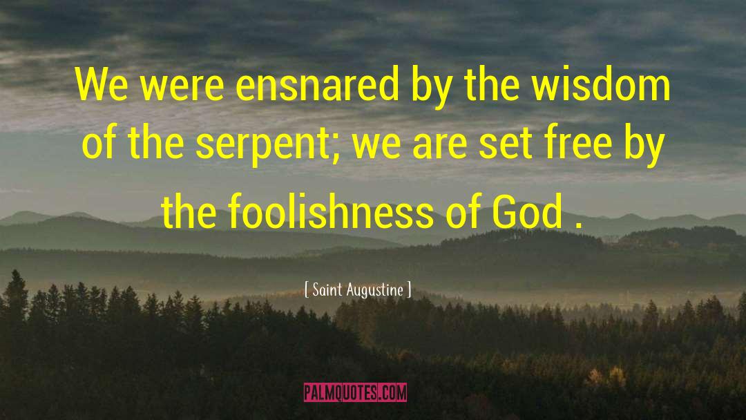 Saint Augustine Quotes: We were ensnared by the