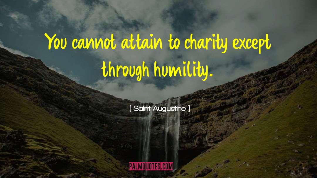 Saint Augustine Quotes: You cannot attain to charity