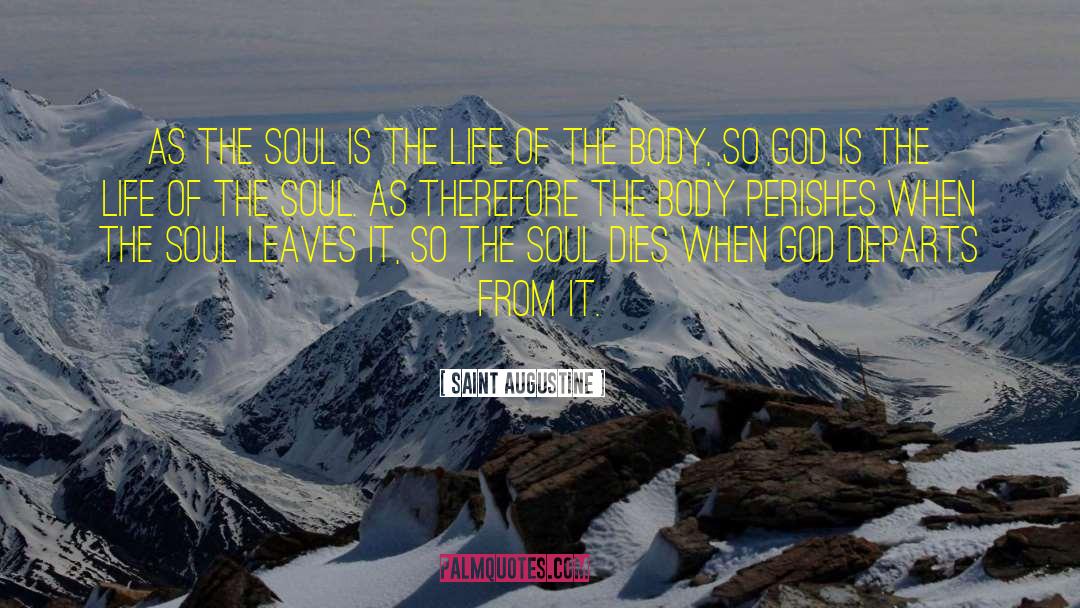Saint Augustine Quotes: As the soul is the