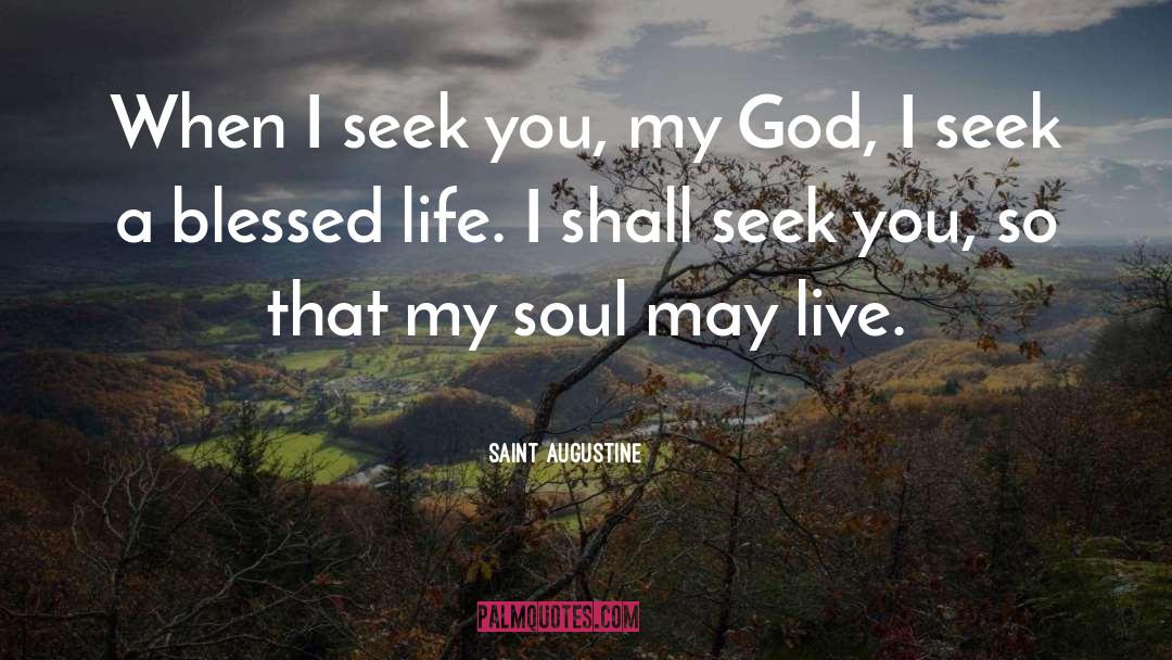 Saint Augustine Quotes: When I seek you, my