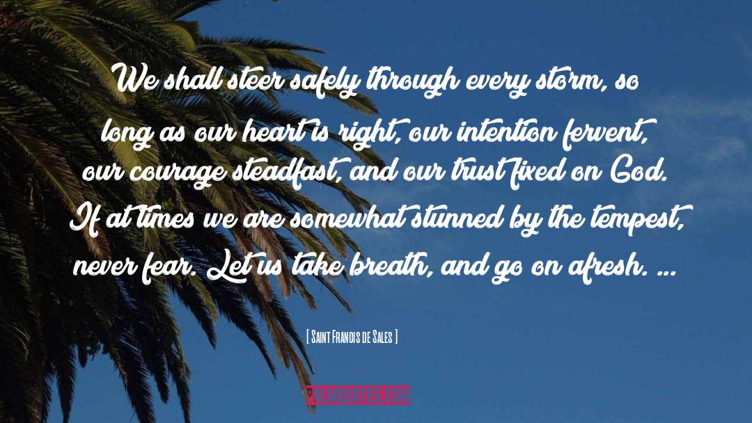 Saint Francis De Sales Quotes: We shall steer safely through