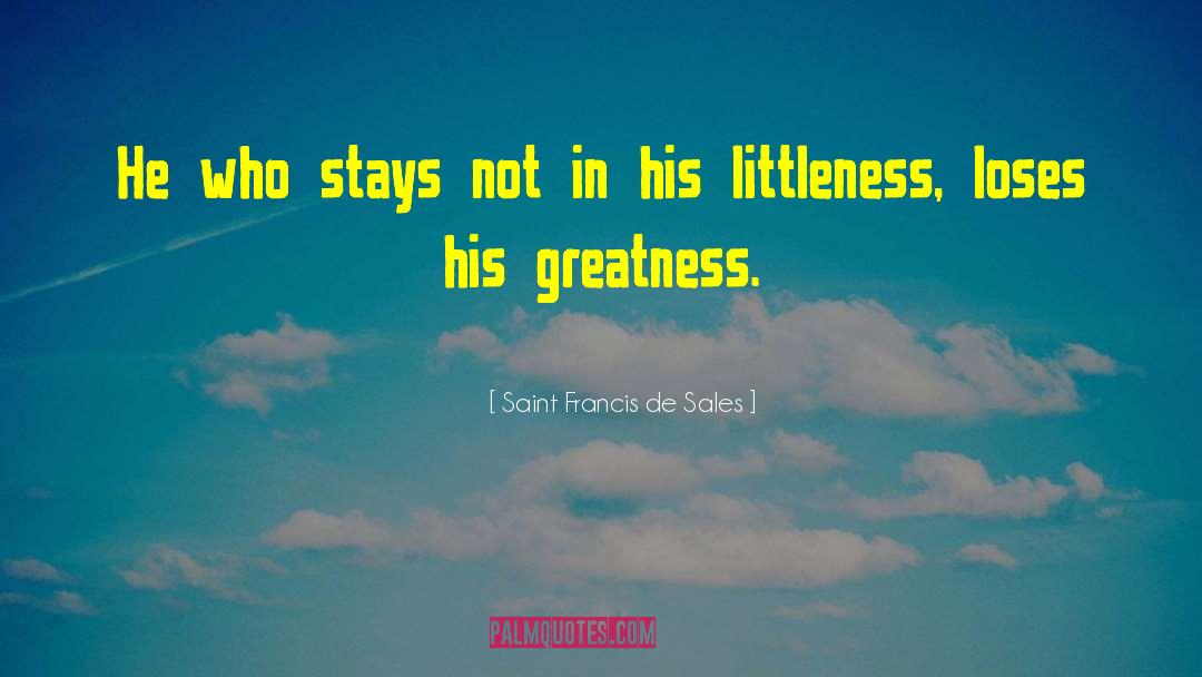 Saint Francis De Sales Quotes: He who stays not in