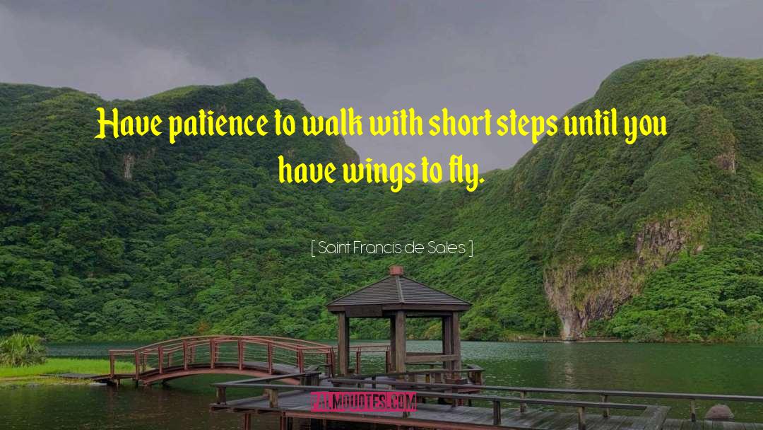 Saint Francis De Sales Quotes: Have patience to walk with