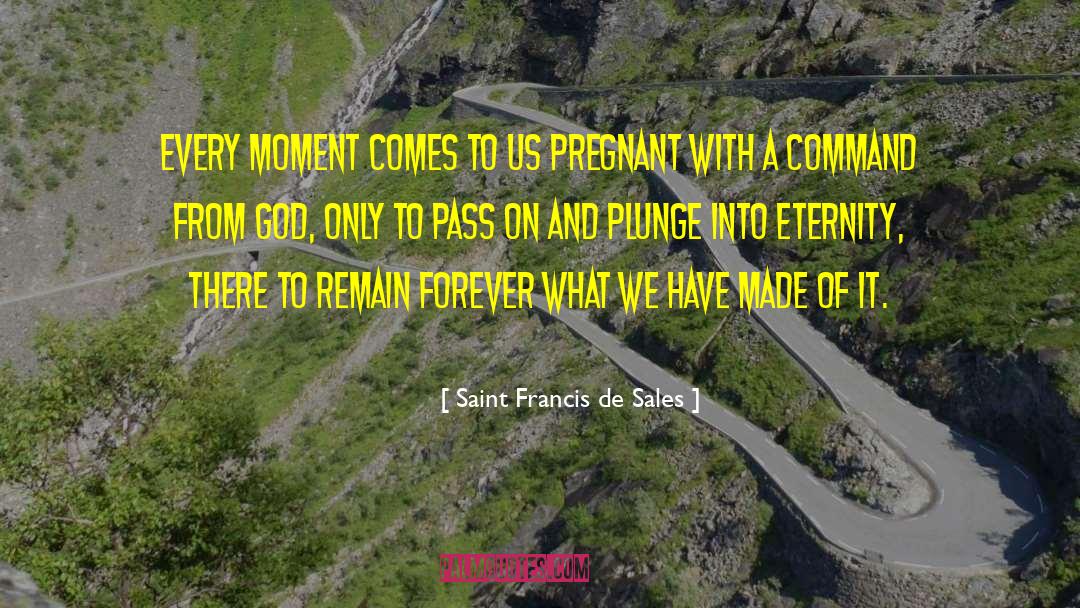 Saint Francis De Sales Quotes: Every moment comes to us