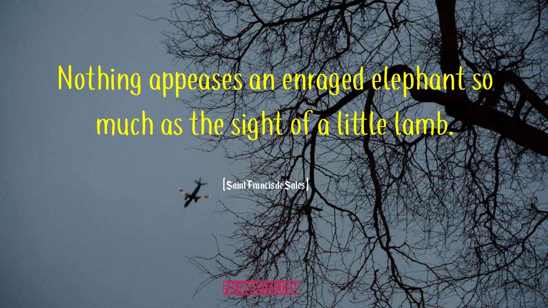 Saint Francis De Sales Quotes: Nothing appeases an enraged elephant