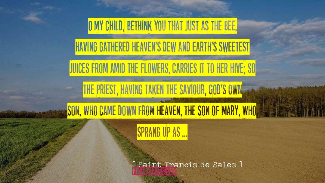 Saint Francis De Sales Quotes: O my child, bethink you