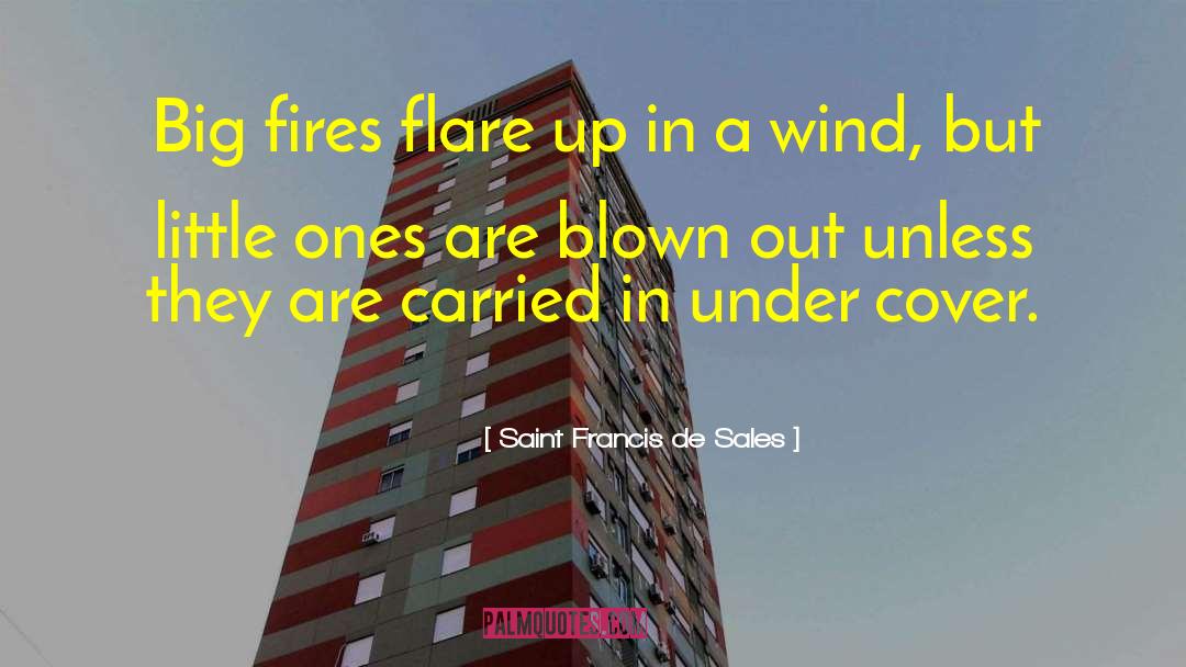 Saint Francis De Sales Quotes: Big fires flare up in