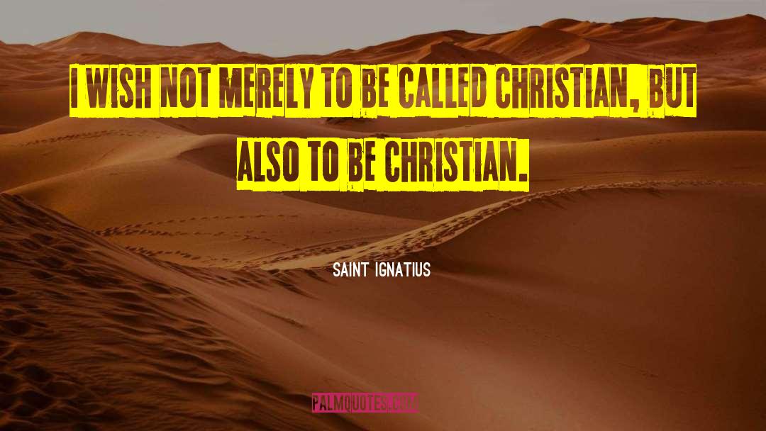 Saint Ignatius Quotes: I wish not merely to