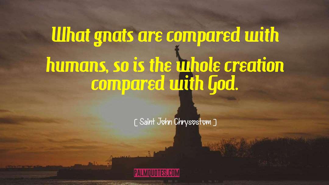 Saint John Chrysostom Quotes: What gnats are compared with