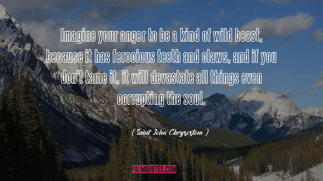 Saint John Chrysostom Quotes: Imagine your anger to be