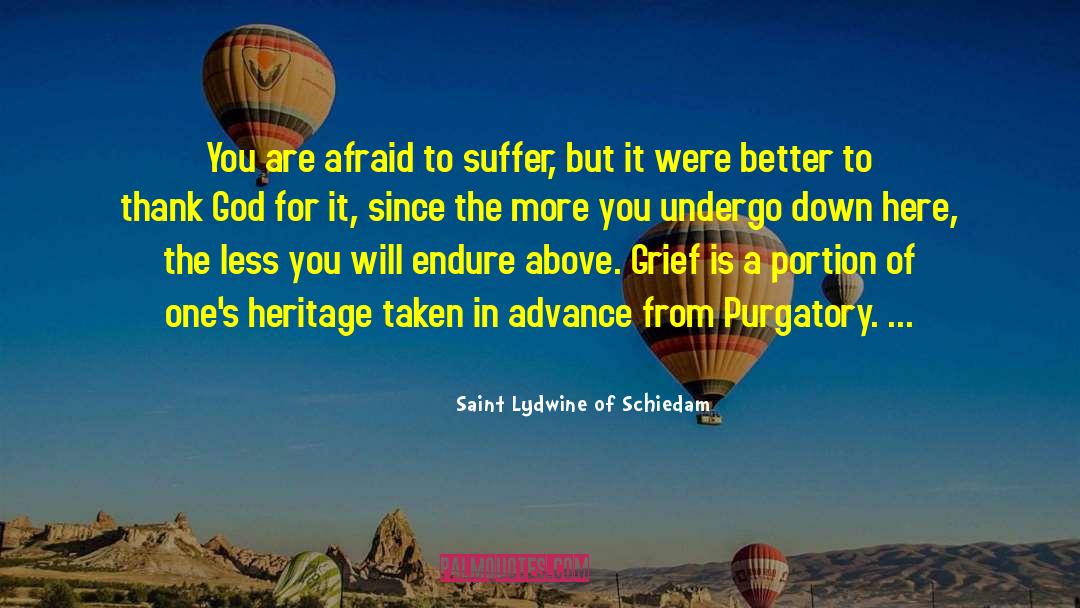 Saint Lydwine Of Schiedam Quotes: You are afraid to suffer,