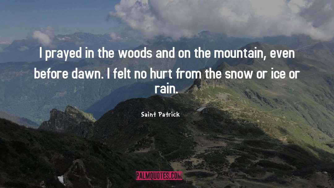 Saint Patrick Quotes: I prayed in the woods