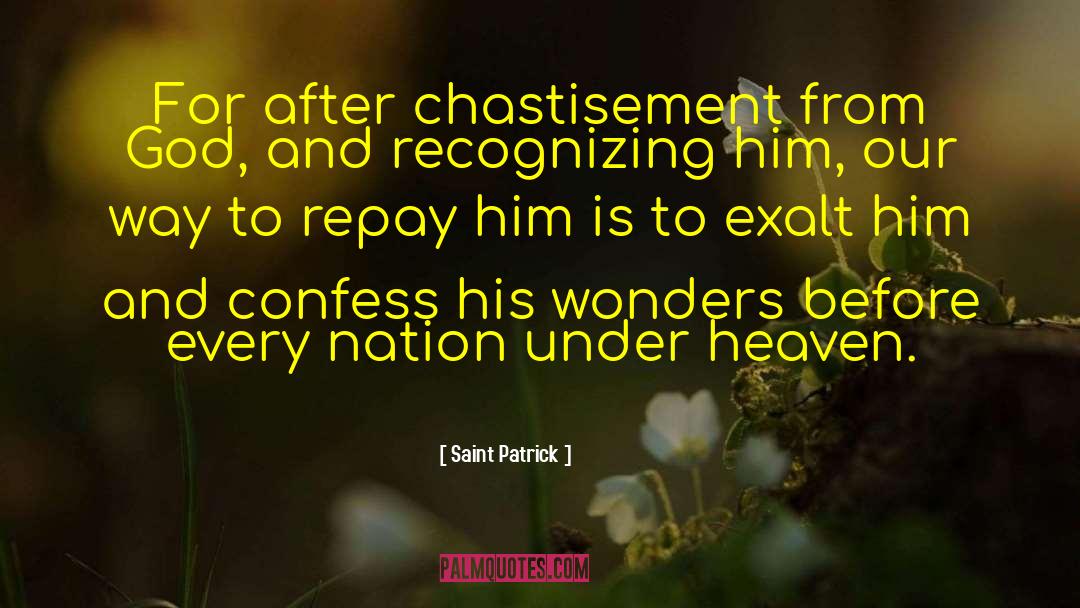 Saint Patrick Quotes: For after chastisement from God,