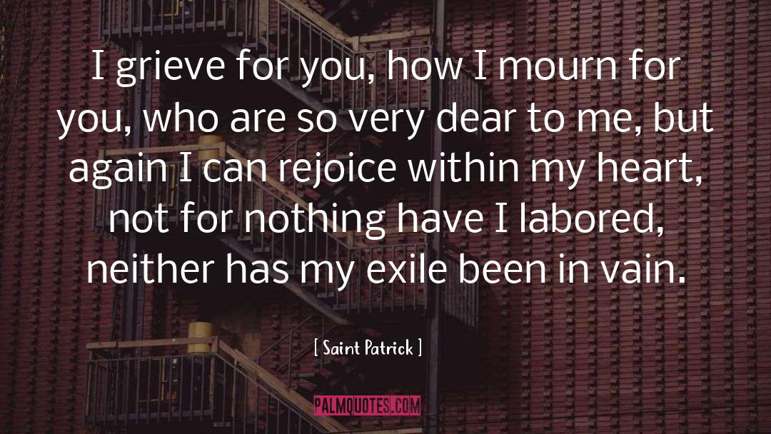 Saint Patrick Quotes: I grieve for you, how