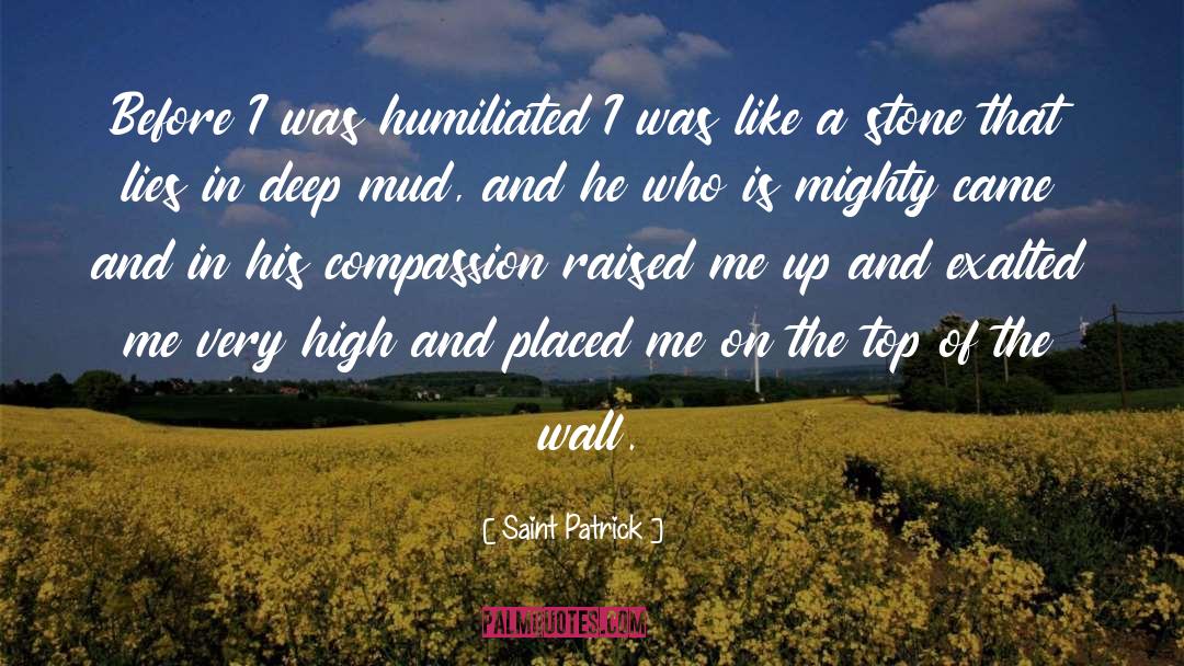 Saint Patrick Quotes: Before I was humiliated I