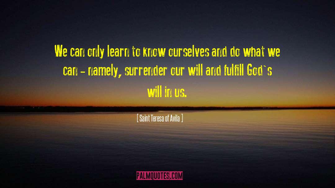 Saint Teresa Of Avila Quotes: We can only learn to