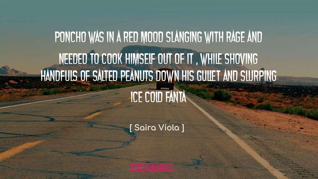 Saira Viola Quotes: Poncho was in a red
