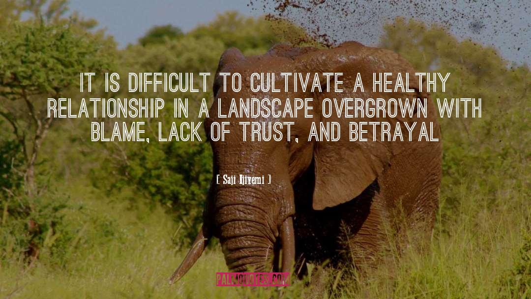 Saji Ijiyemi Quotes: It is difficult to cultivate