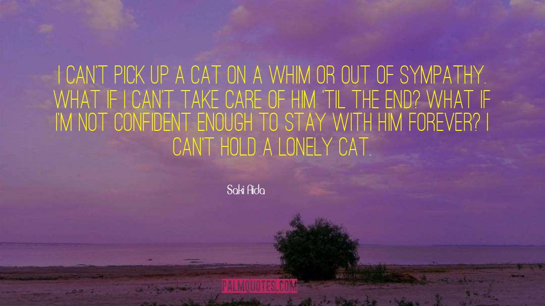 Saki Aida Quotes: I can't pick up a