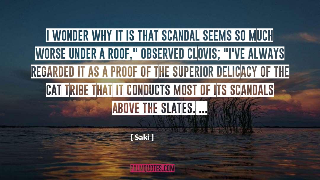 Saki Quotes: I wonder why it is