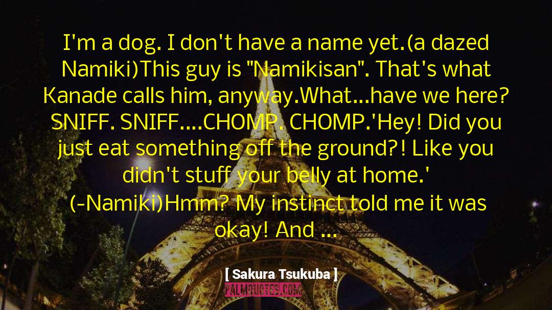 Sakura Tsukuba Quotes: I'm a dog. I don't