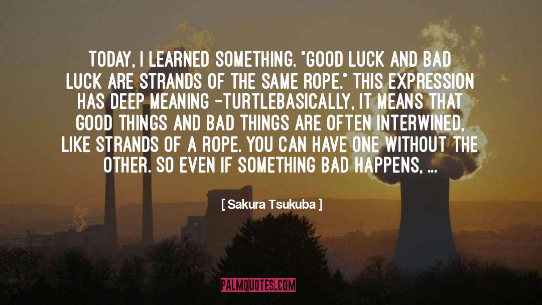 Sakura Tsukuba Quotes: Today, i learned something. 
