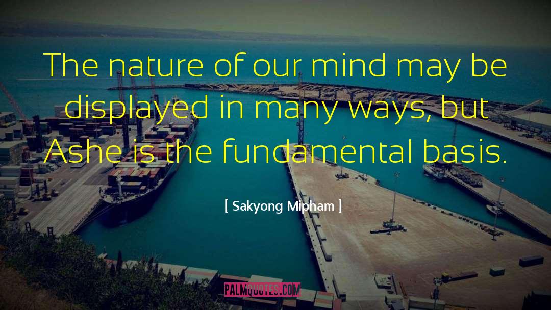 Sakyong Mipham Quotes: The nature of our mind