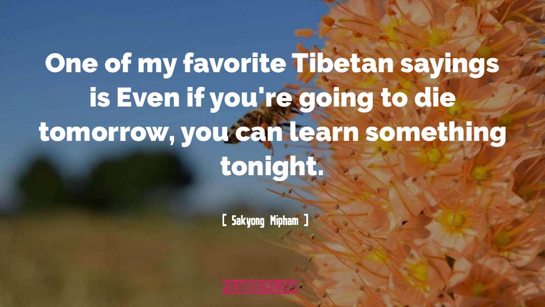 Sakyong Mipham Quotes: One of my favorite Tibetan