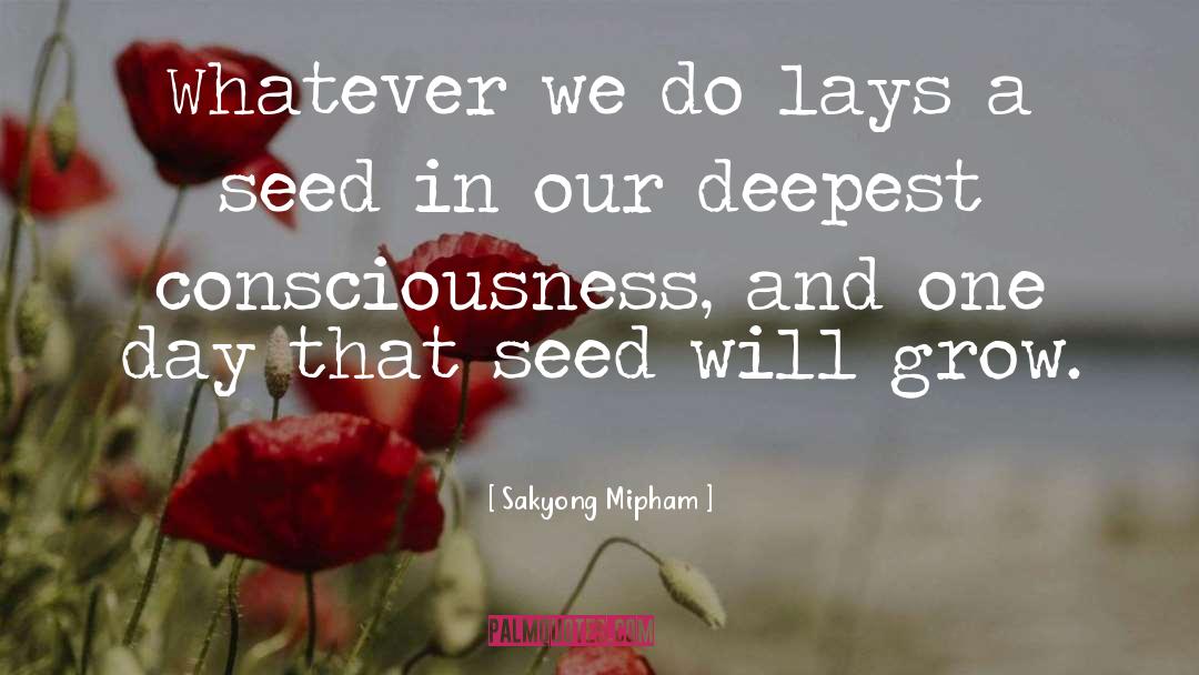 Sakyong Mipham Quotes: Whatever we do lays a