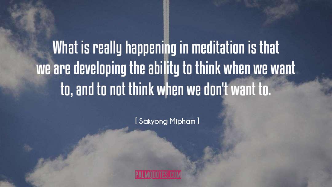 Sakyong Mipham Quotes: What is really happening in
