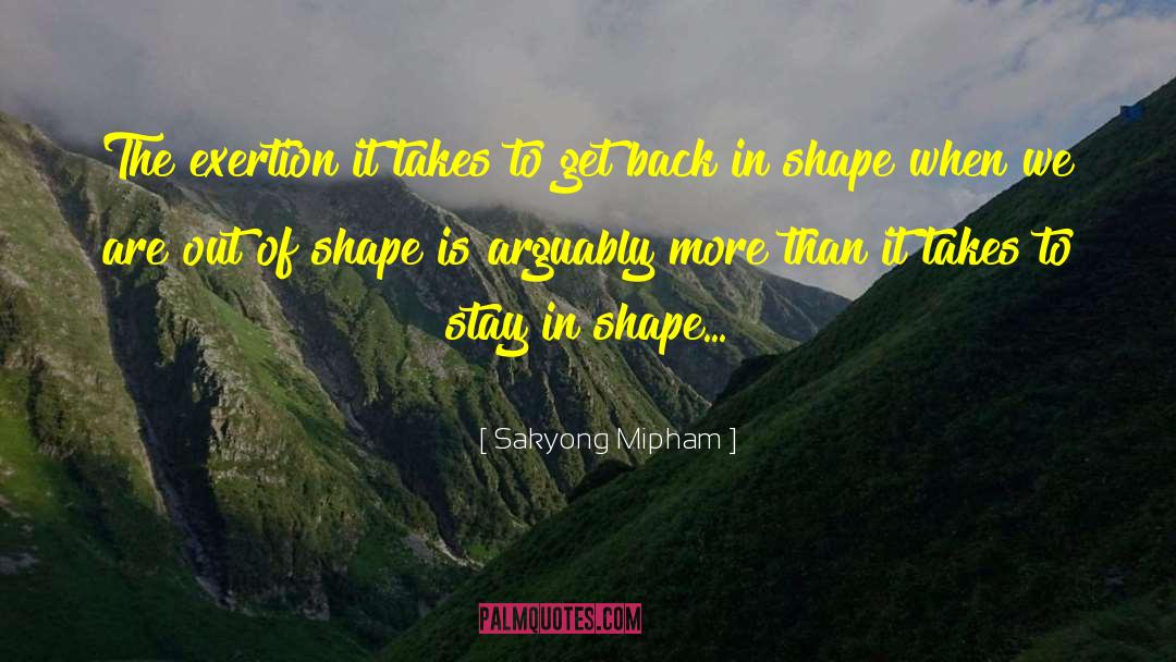 Sakyong Mipham Quotes: The exertion it takes to