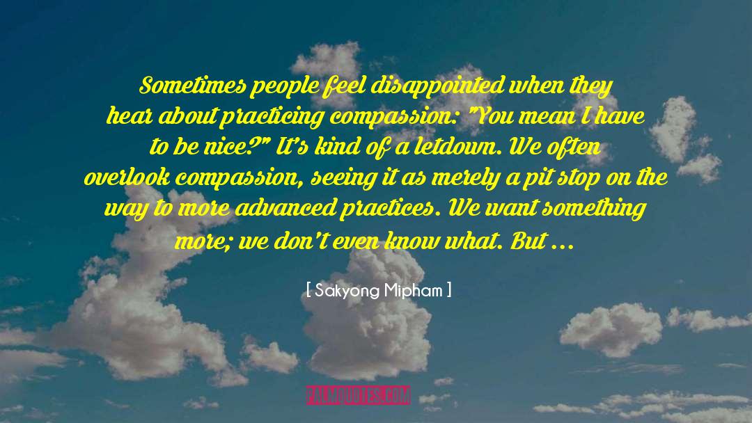 Sakyong Mipham Quotes: Sometimes people feel disappointed when