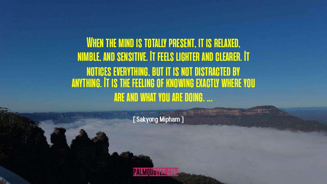 Sakyong Mipham Quotes: When the mind is totally