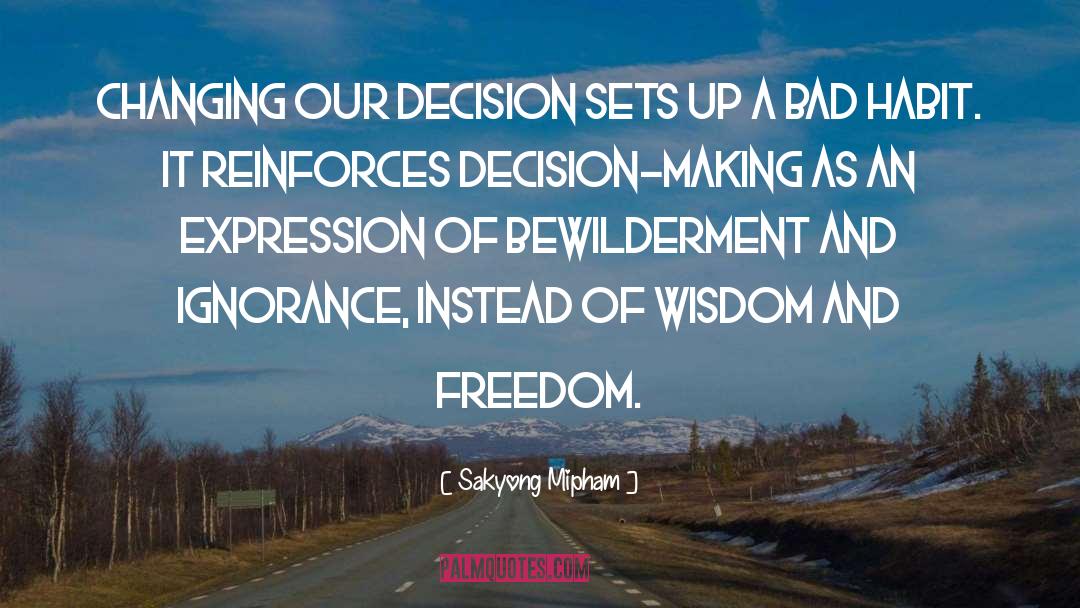 Sakyong Mipham Quotes: Changing our decision sets up