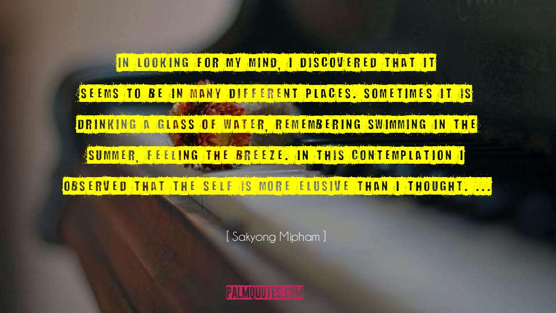 Sakyong Mipham Quotes: In looking for my mind,