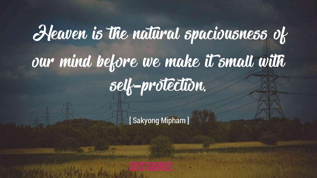 Sakyong Mipham Quotes: Heaven is the natural spaciousness