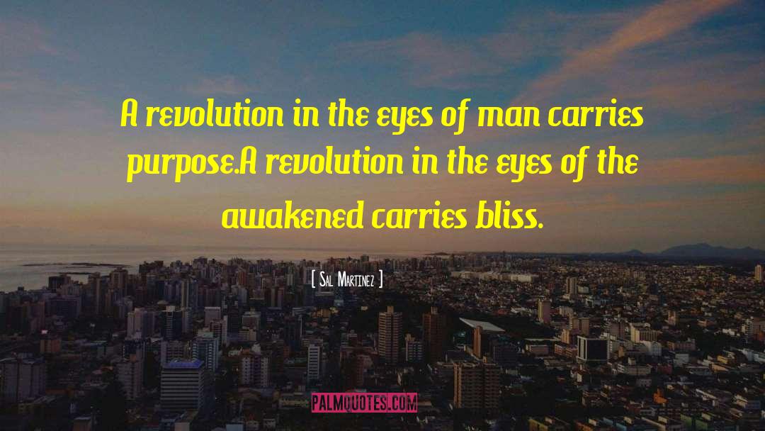 Sal Martinez Quotes: A revolution in the eyes