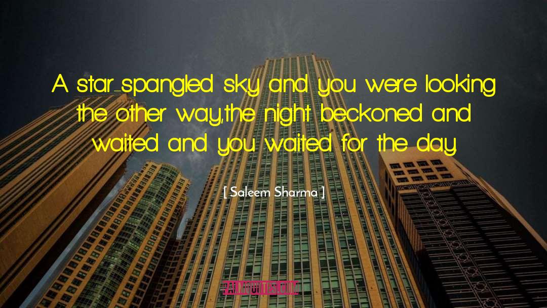 Saleem Sharma Quotes: A star-spangled sky and you