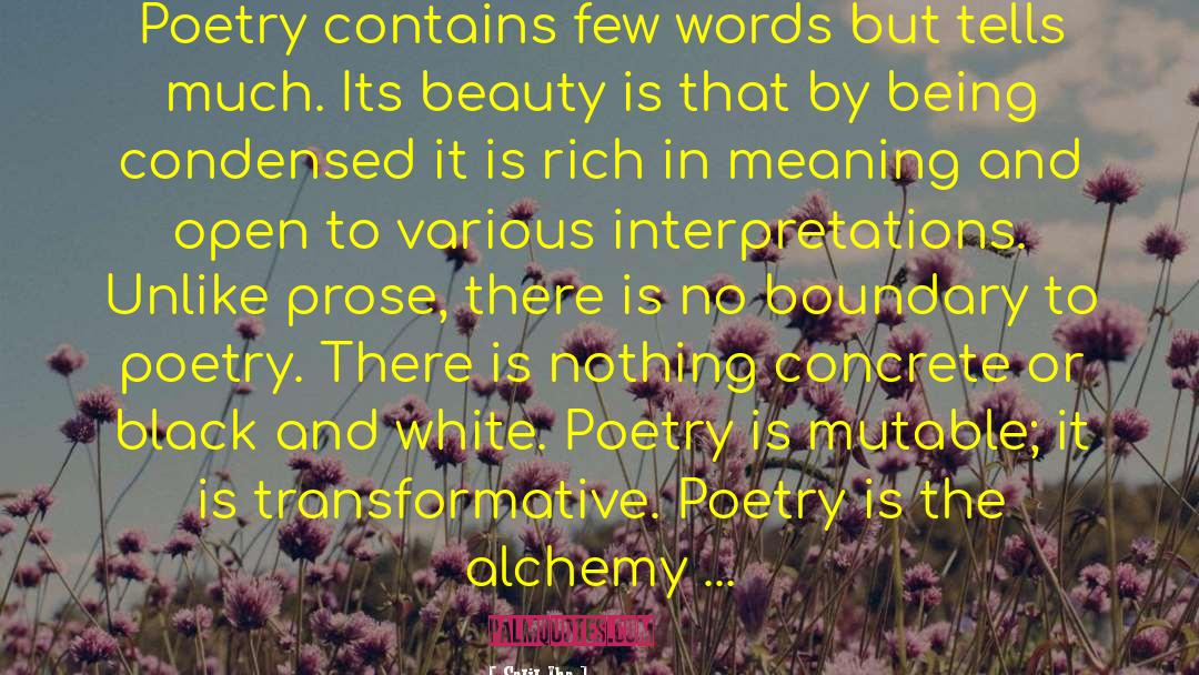 Salil Jha Quotes: Poetry contains few words but