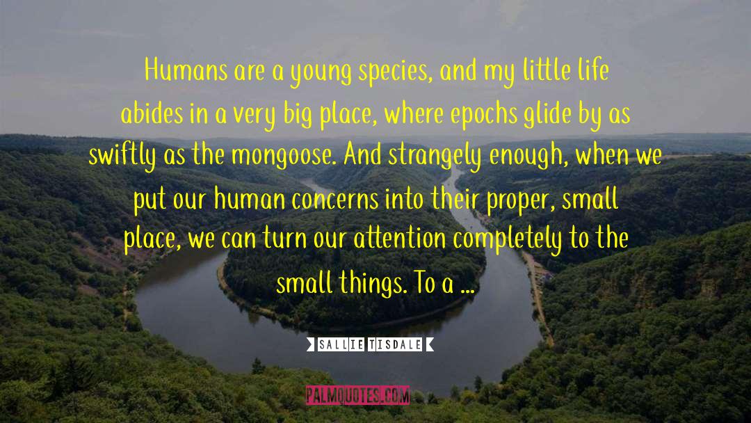 Sallie Tisdale Quotes: Humans are a young species,