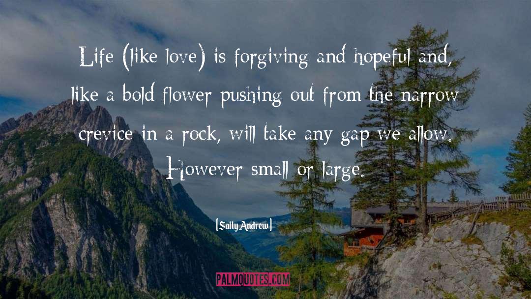 Sally Andrew Quotes: Life (like love) is forgiving